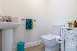 Collins Grove, Tamworth