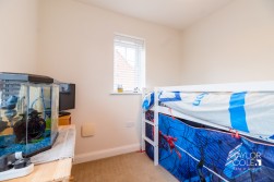 Collins Grove, Tamworth