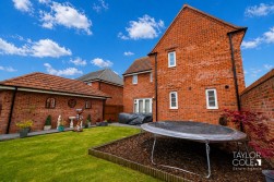 Collins Grove, Tamworth