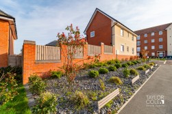 Austen Drive, Tamworth