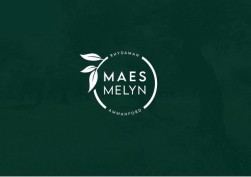 Maes Melyn, Betws, Ammanford