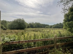 Waunfarlais Road, Llandybie, Ammanford