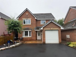 Parc Nant Y Felin, Ammanford