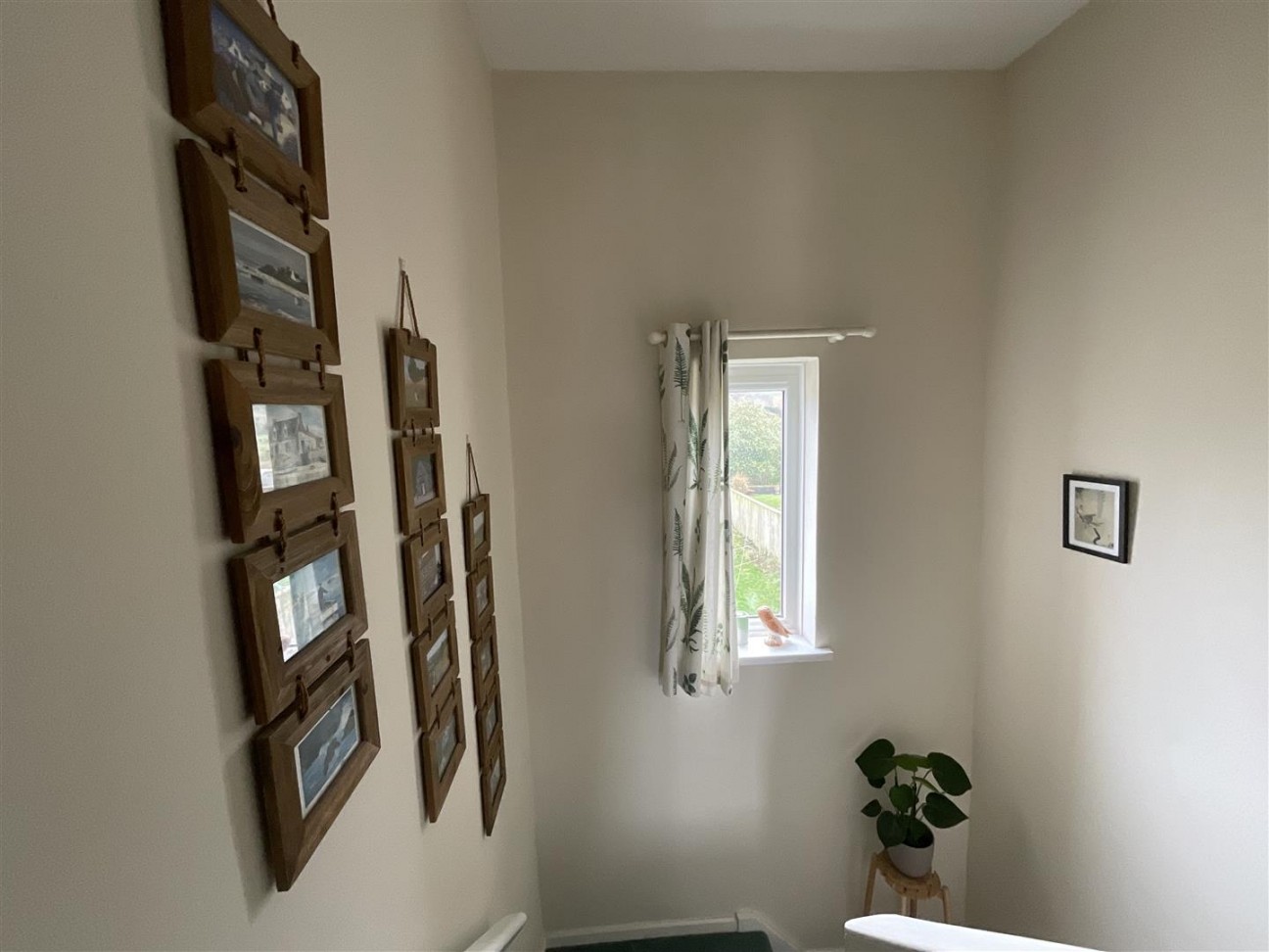 Maesglas, Llandovery