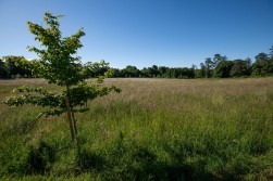 Eversley Gardens, Kings Worthy, Winchester, SO23