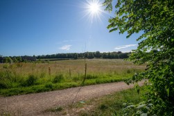 Eversley Gardens, Kings Worthy, Winchester, SO23