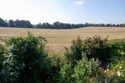 Littleton, Winchester, SO22