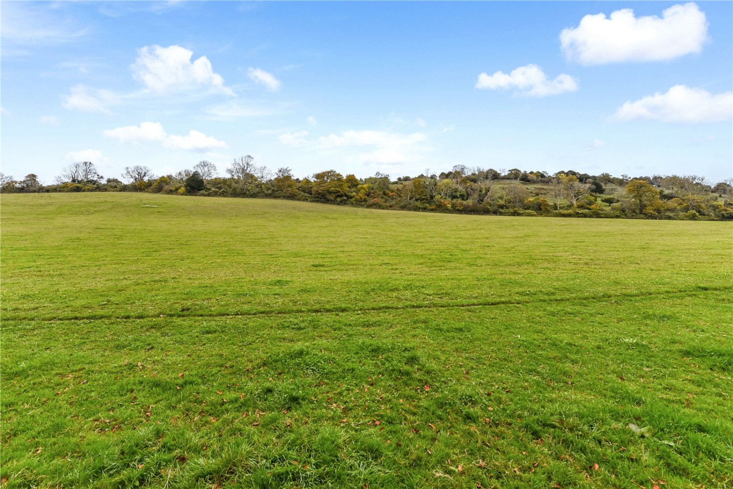 Charlton Road, Singleton, Chichester