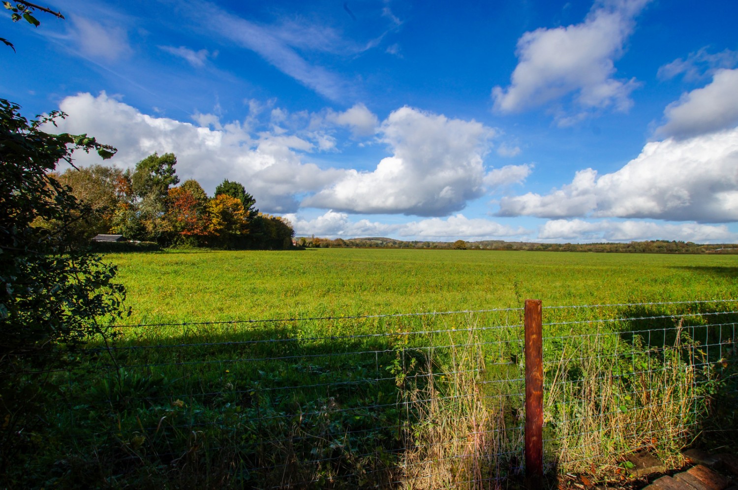 Chichester, West Sussex