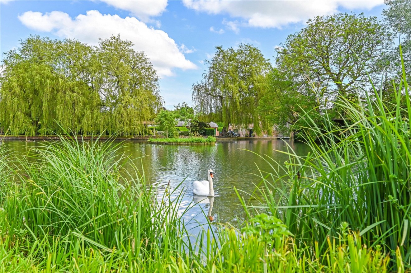 Chichester, West Sussex