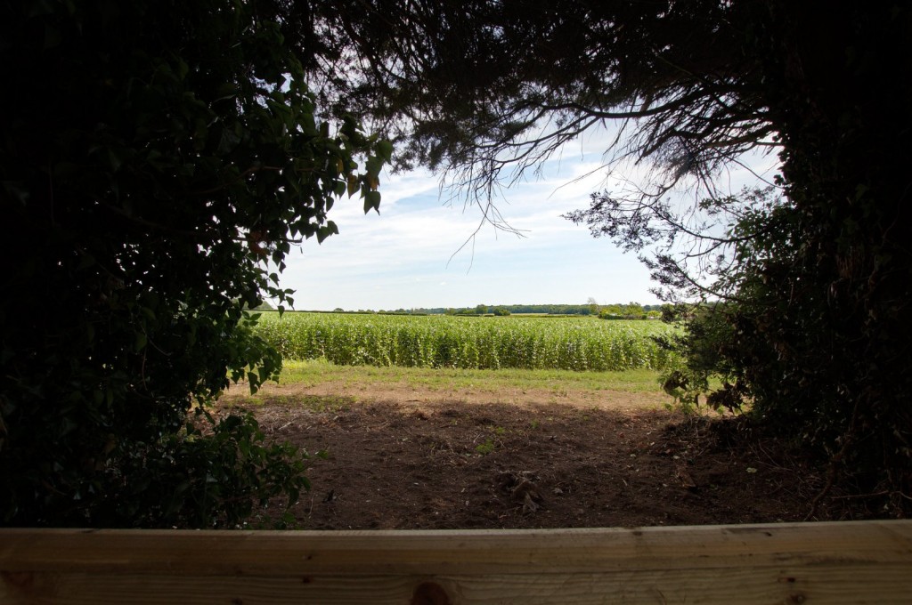 West Stoke, Chichester, West Sussex