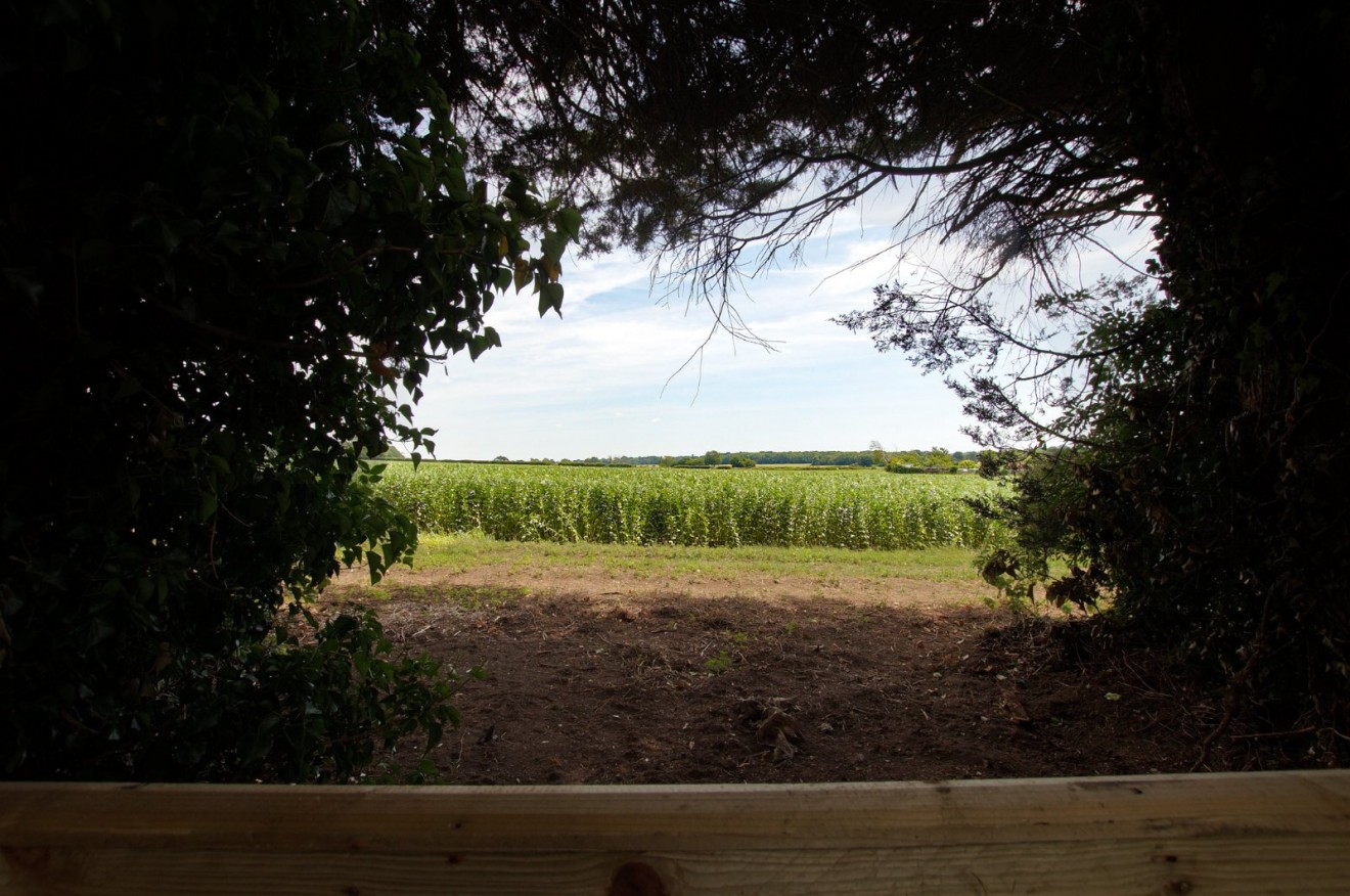 West Stoke, Chichester, West Sussex