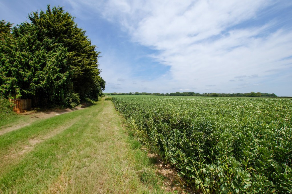 West Stoke, Chichester, West Sussex