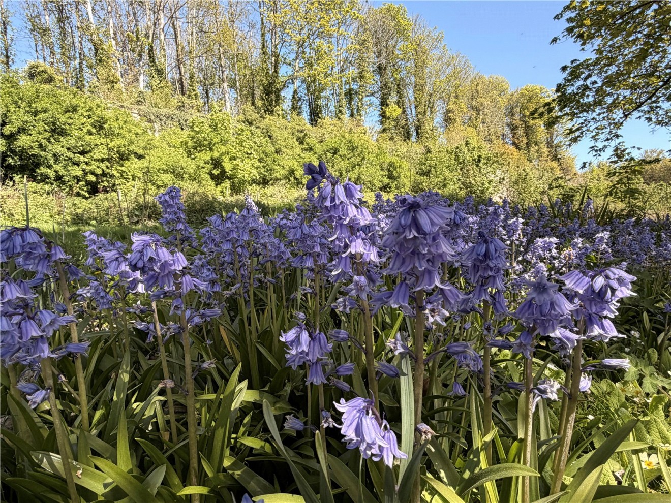 Chichester, West Sussex