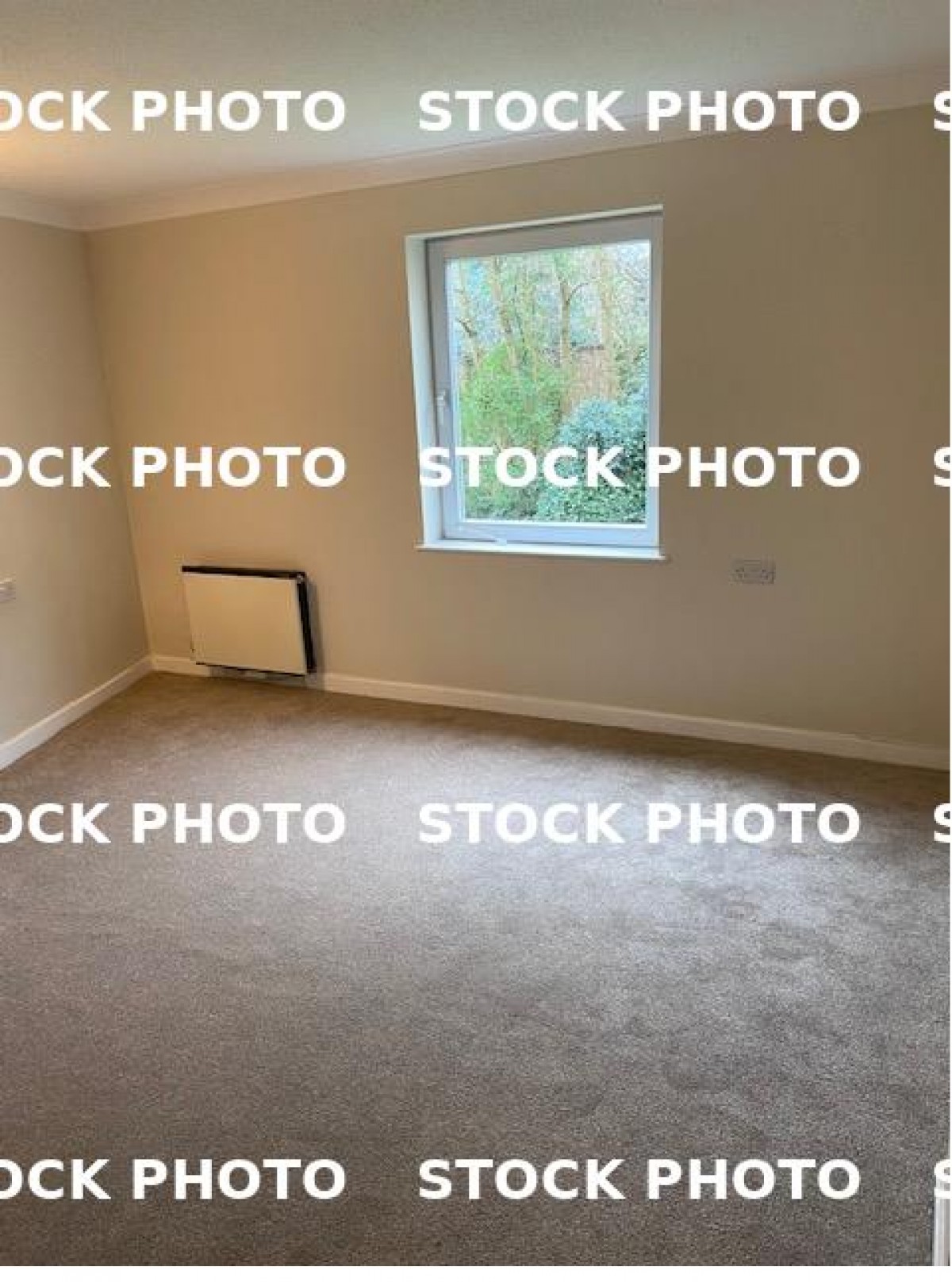 Image for Cedar Road, Sutton