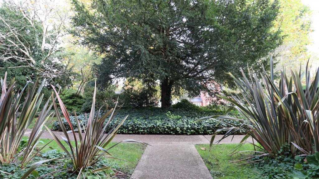 Image for Brechin Court, Kendrick Road, Reading