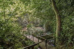 Beech Avenue, Radlett