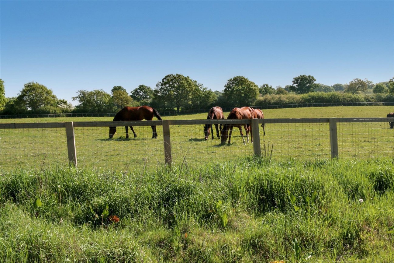 Bridle Close, Borehamwood