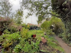 Blackmoor Lane, Somerset, Templecombe