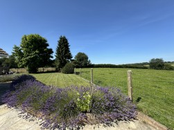 St. Johns Close, Dorset, Shaftesbury