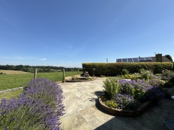 St. Johns Close, Dorset, Shaftesbury