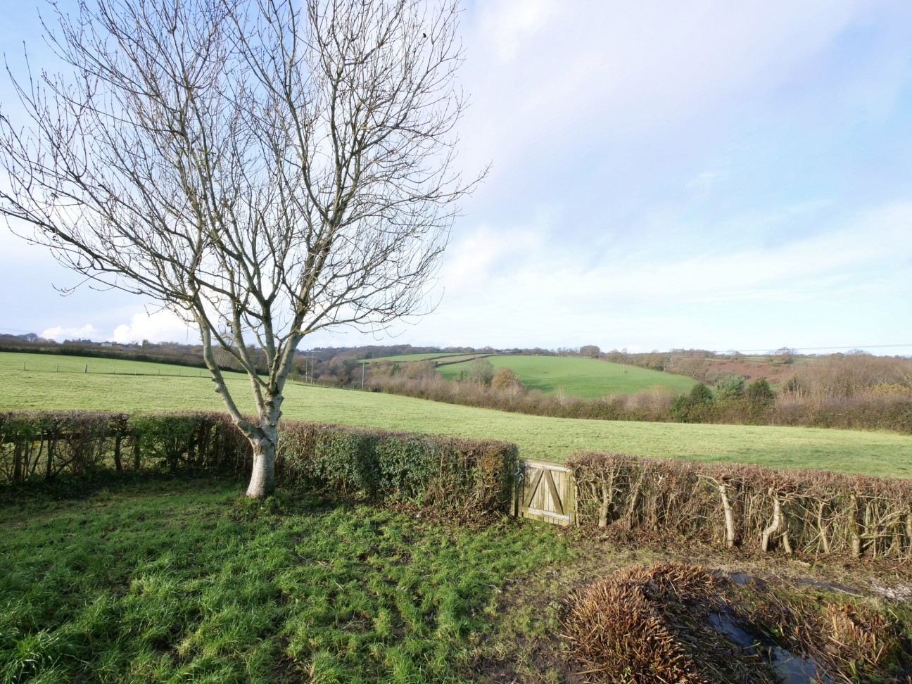 Deweys Place, Dorset, Shaftesbury