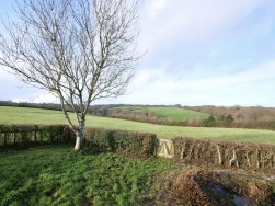 Deweys Place, Dorset, Shaftesbury