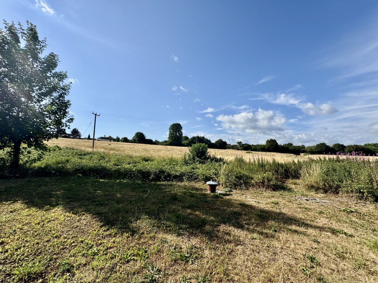 Drovers, Dorset, Sturminster Newton