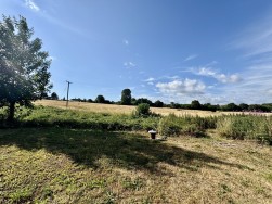 Drovers, Dorset, Sturminster Newton