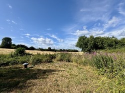 Drovers, Dorset, Sturminster Newton