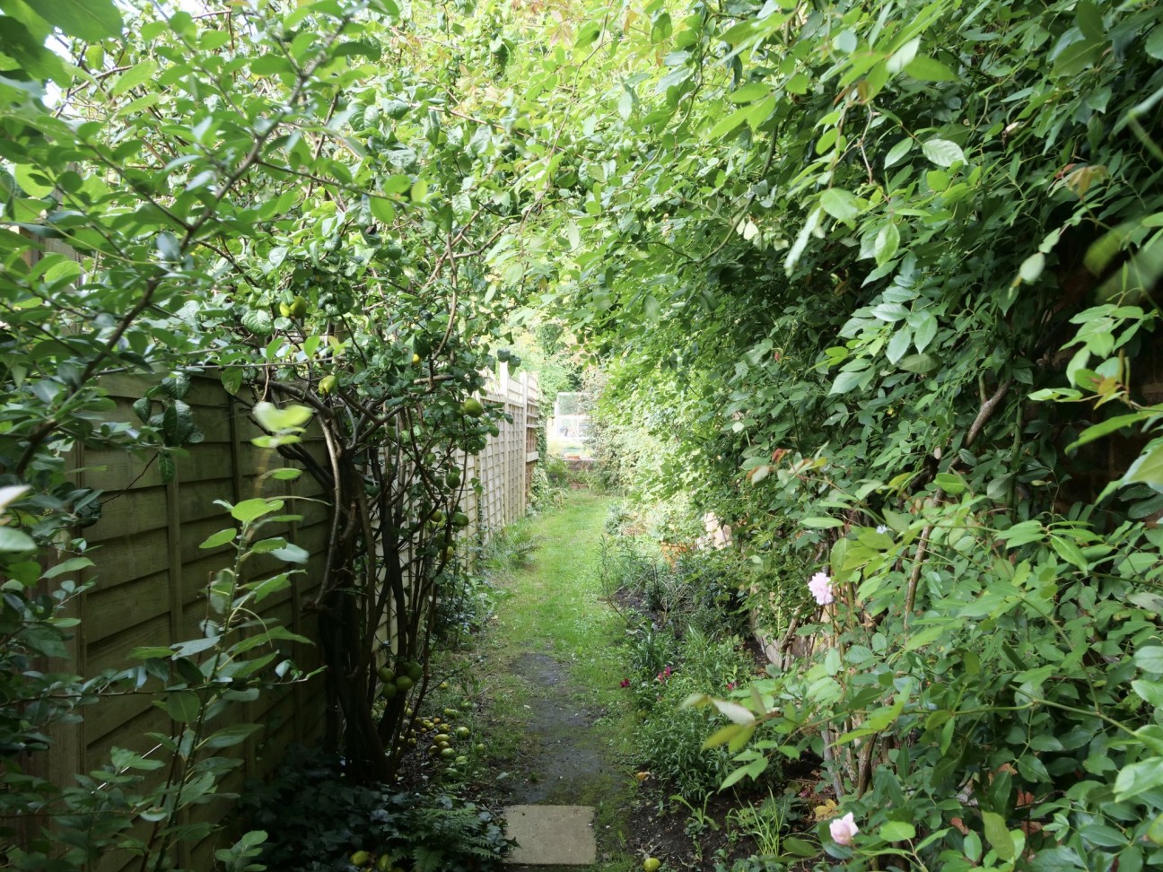 Florida Street, Somerset, Castle Cary