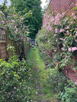 Florida Street, Somerset, Castle Cary