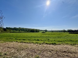 Wheathill Way, Milborne Port, SHERBORNE