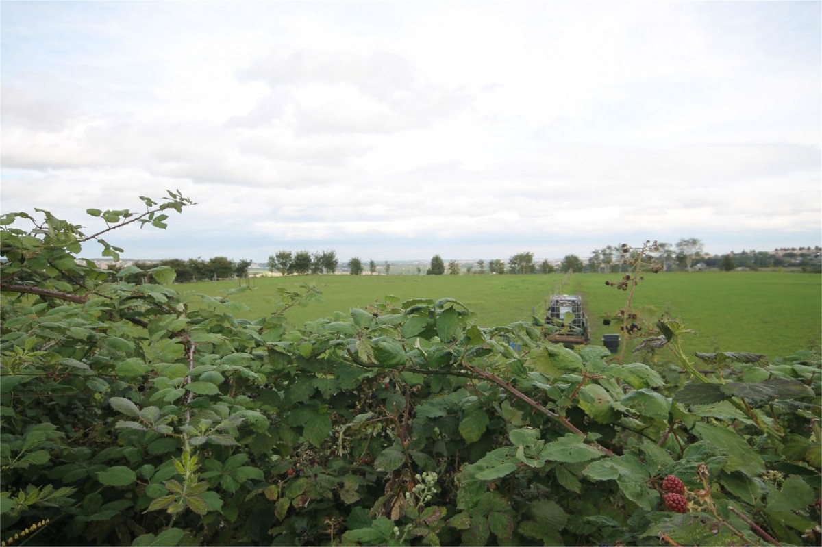 Higham Common Road, Higham, Barnsley