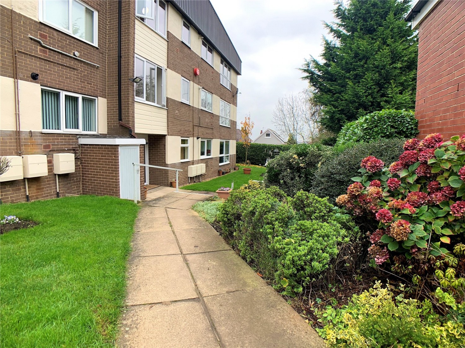 Cockerham Lane, Barnsley