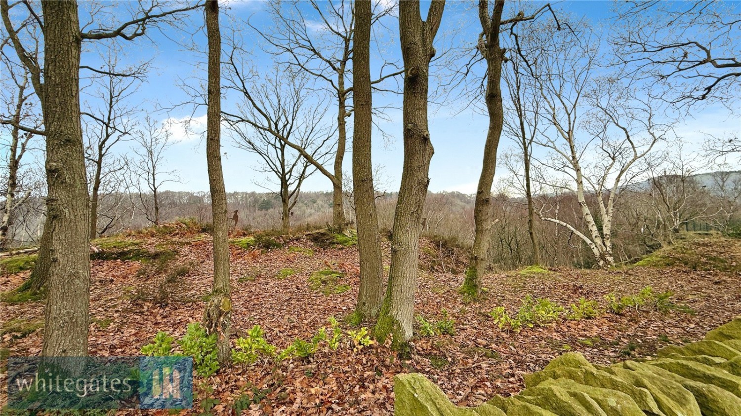 Honley, Holmfirth, West Yorkshire