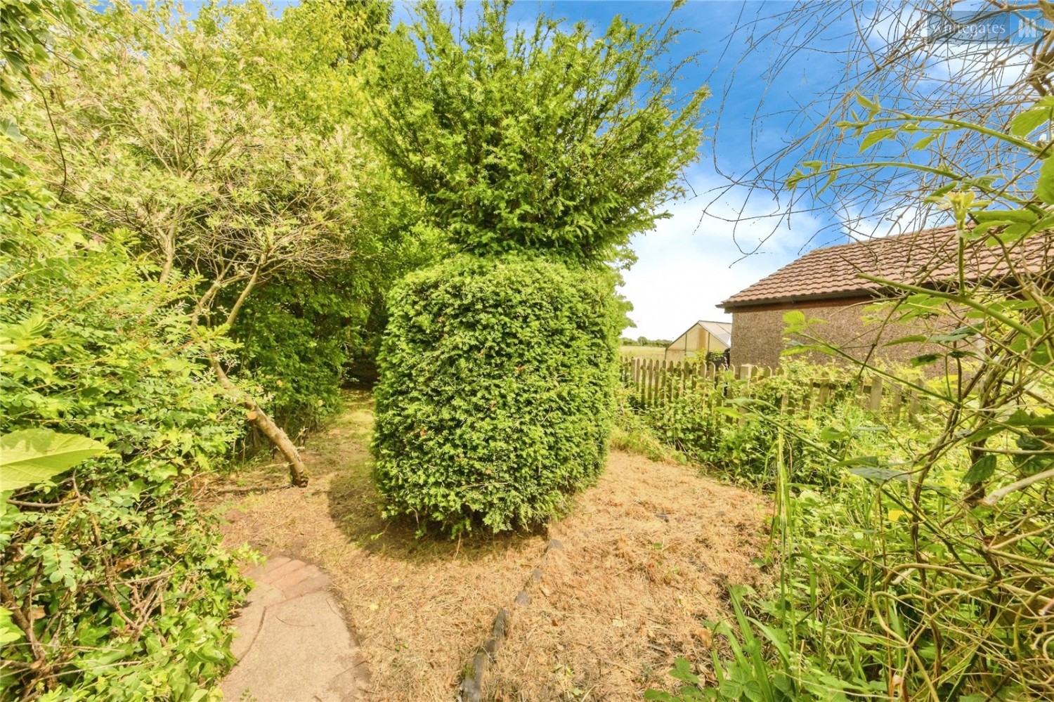 Shavington, Crewe, Cheshire