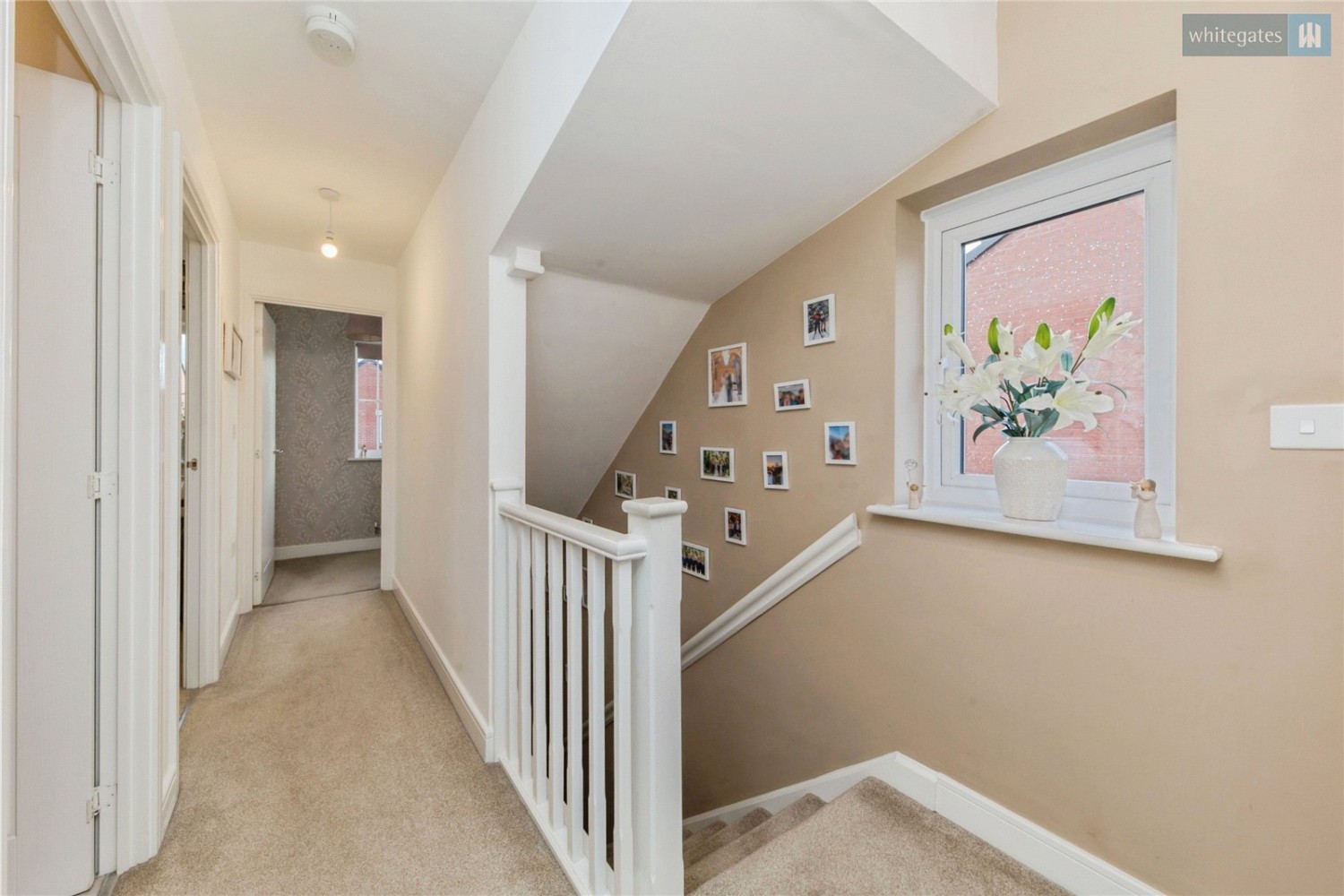 Shavington, Cheshire East