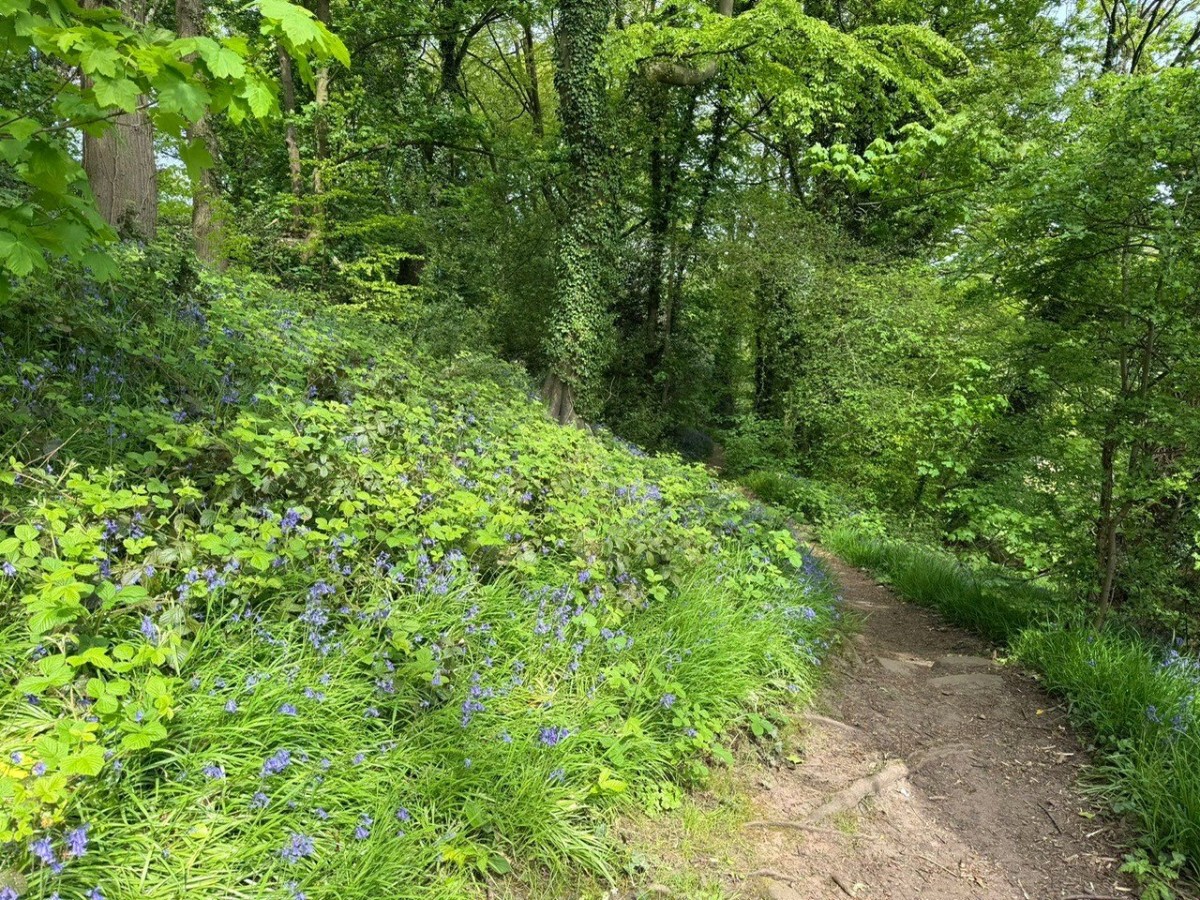 Little Eaton, Derby, Derbyshire