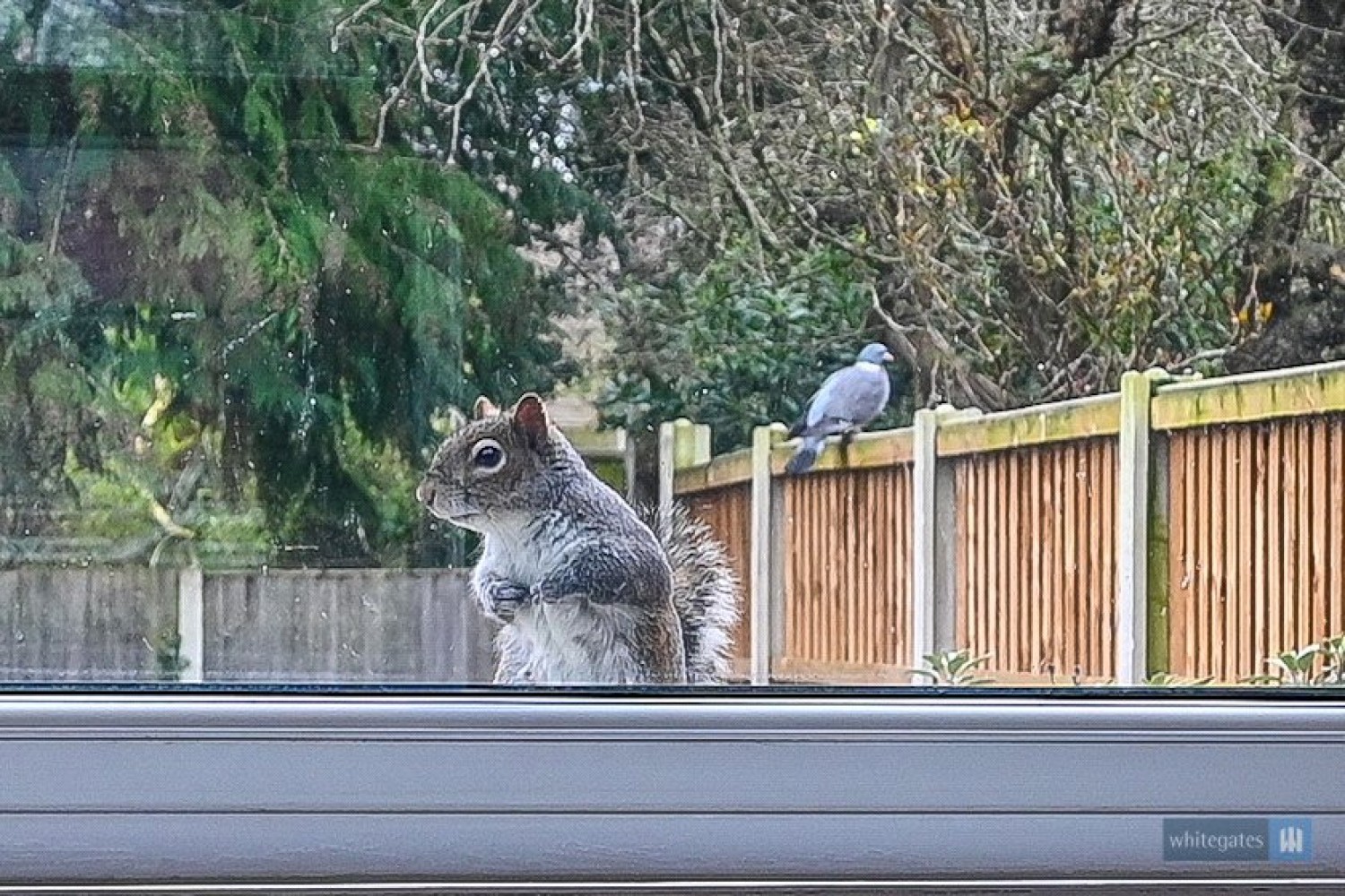 Liverpool, Merseyside