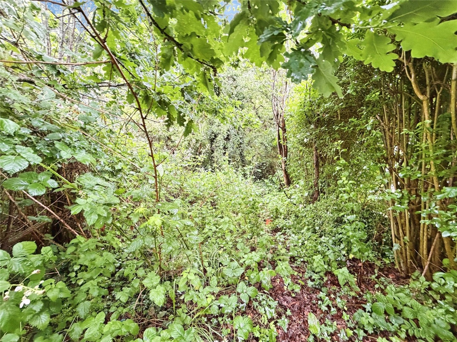 Cossall, Nottingham