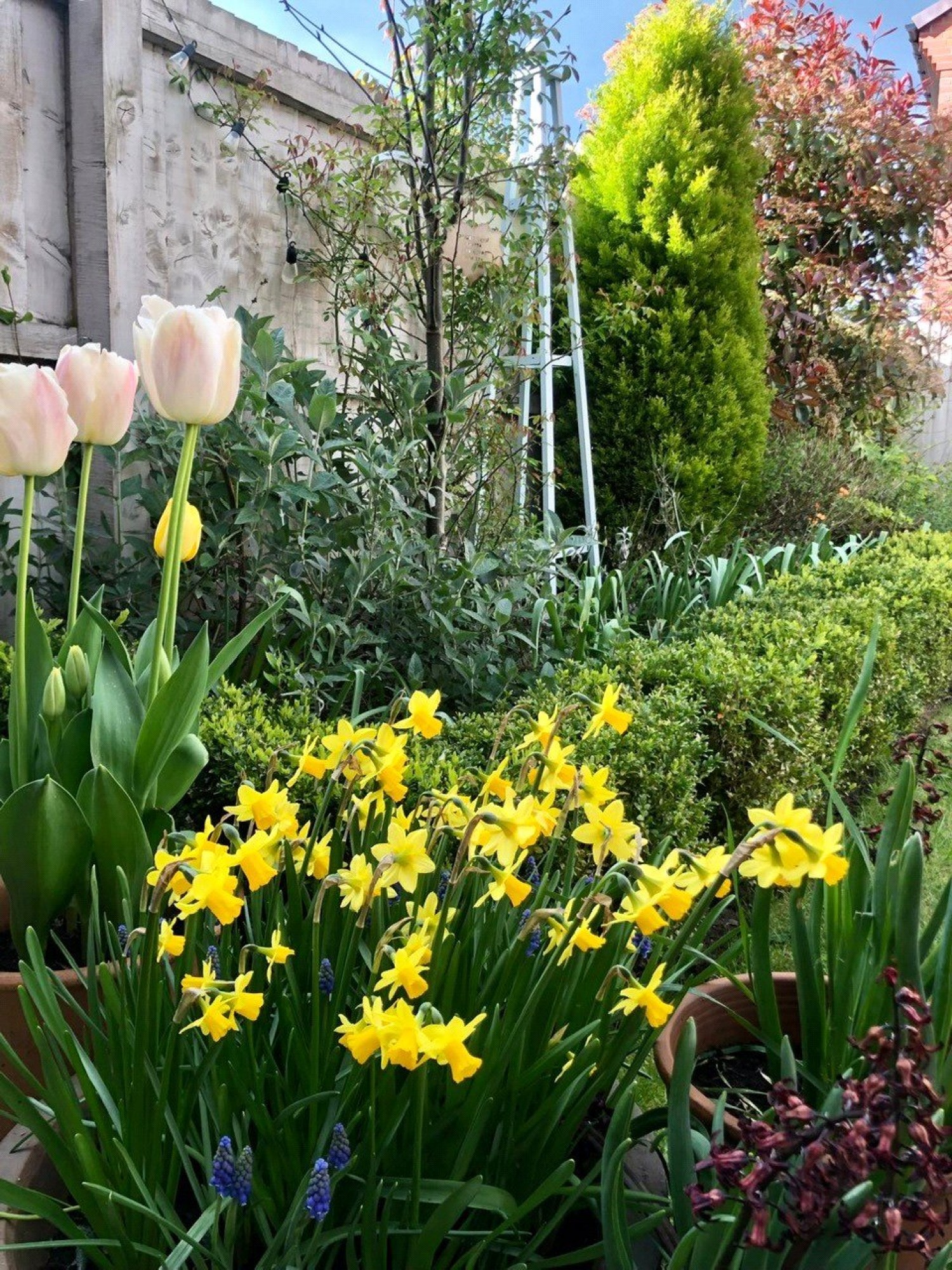 Henhull, Nantwich, Cheshire