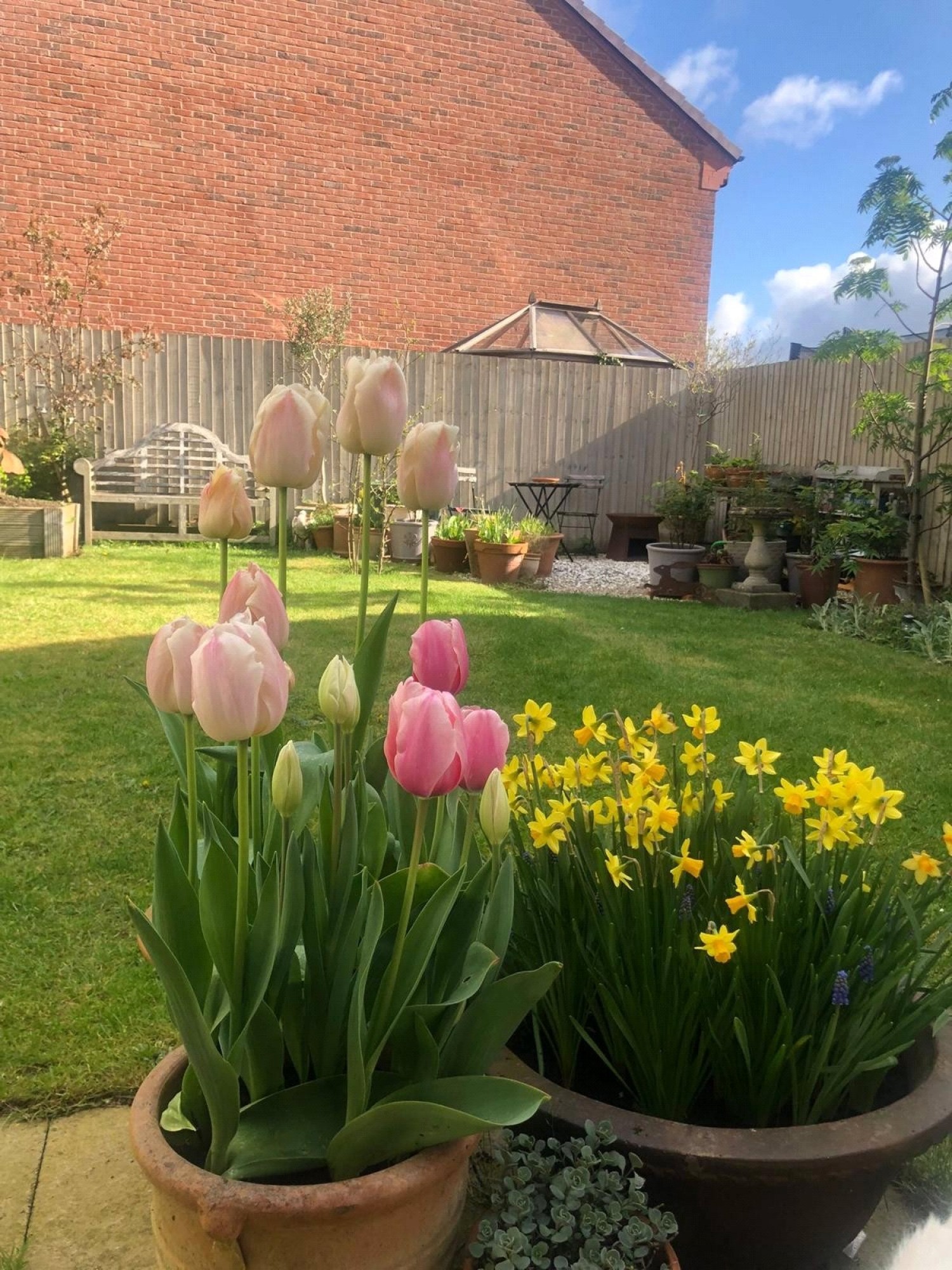 Henhull, Nantwich, Cheshire