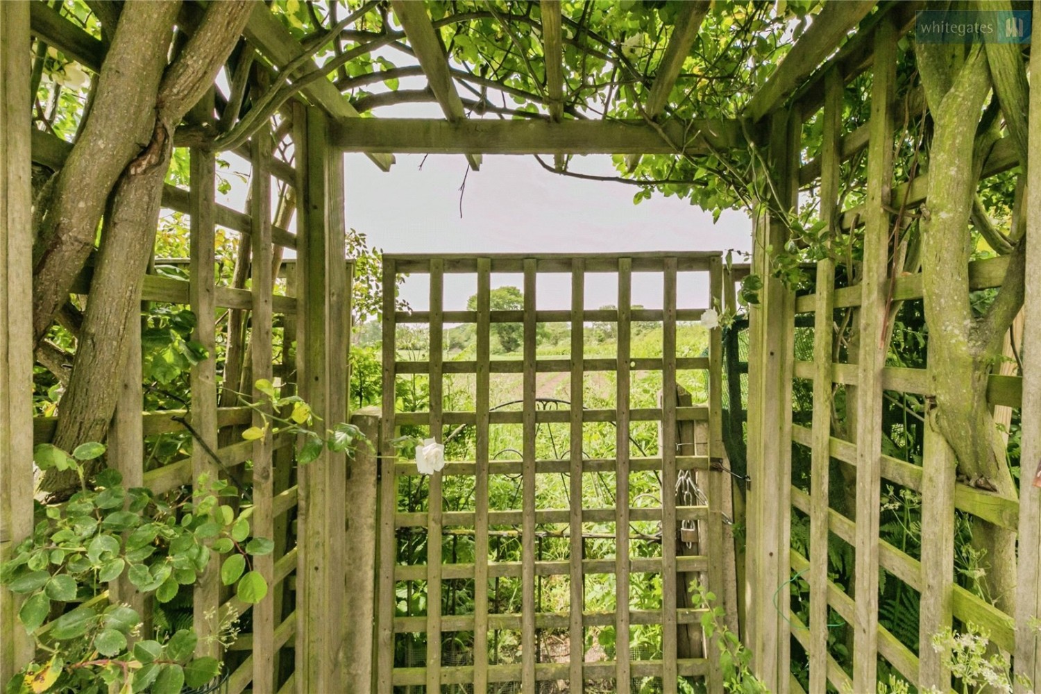 Buerton, Crewe, Cheshire
