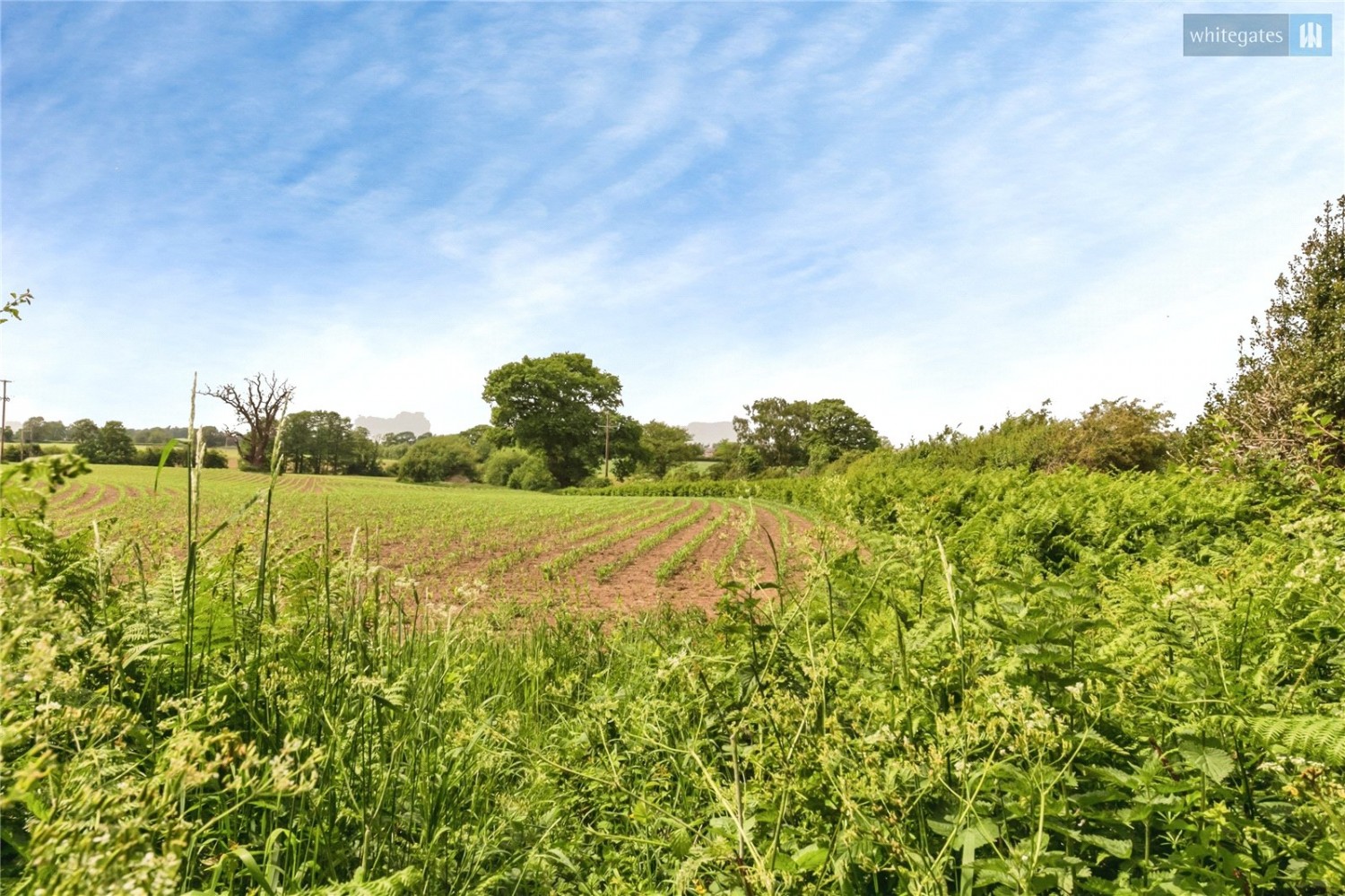 Buerton, Crewe, Cheshire