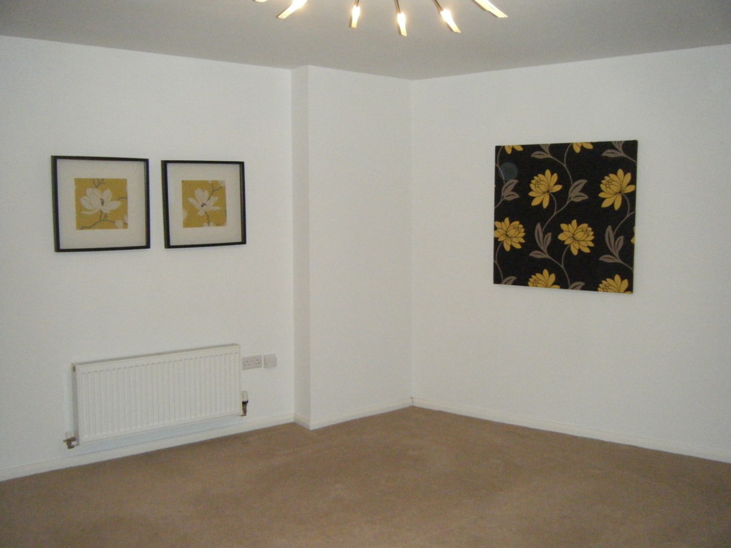 Kyle Close, Sheffield