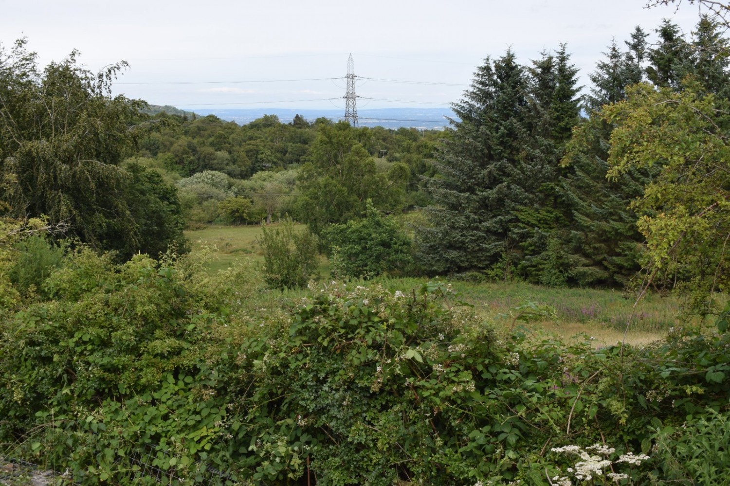 Bwlchgwyn, Wrexham