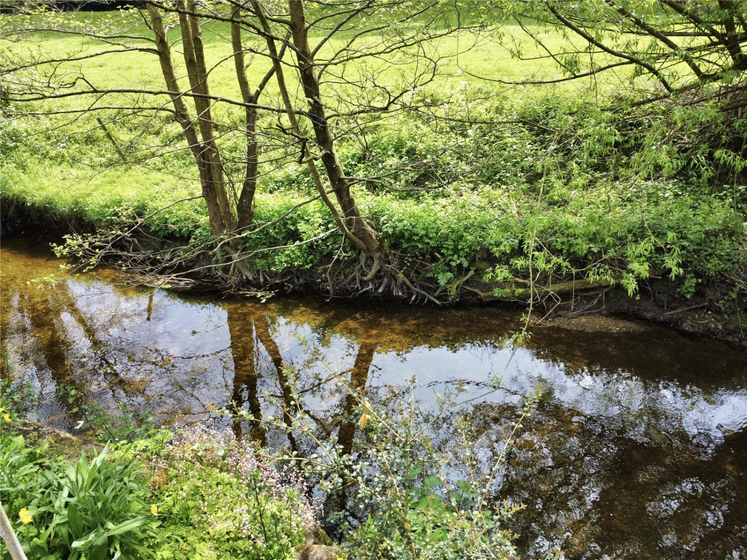 Bersham, Wrexham