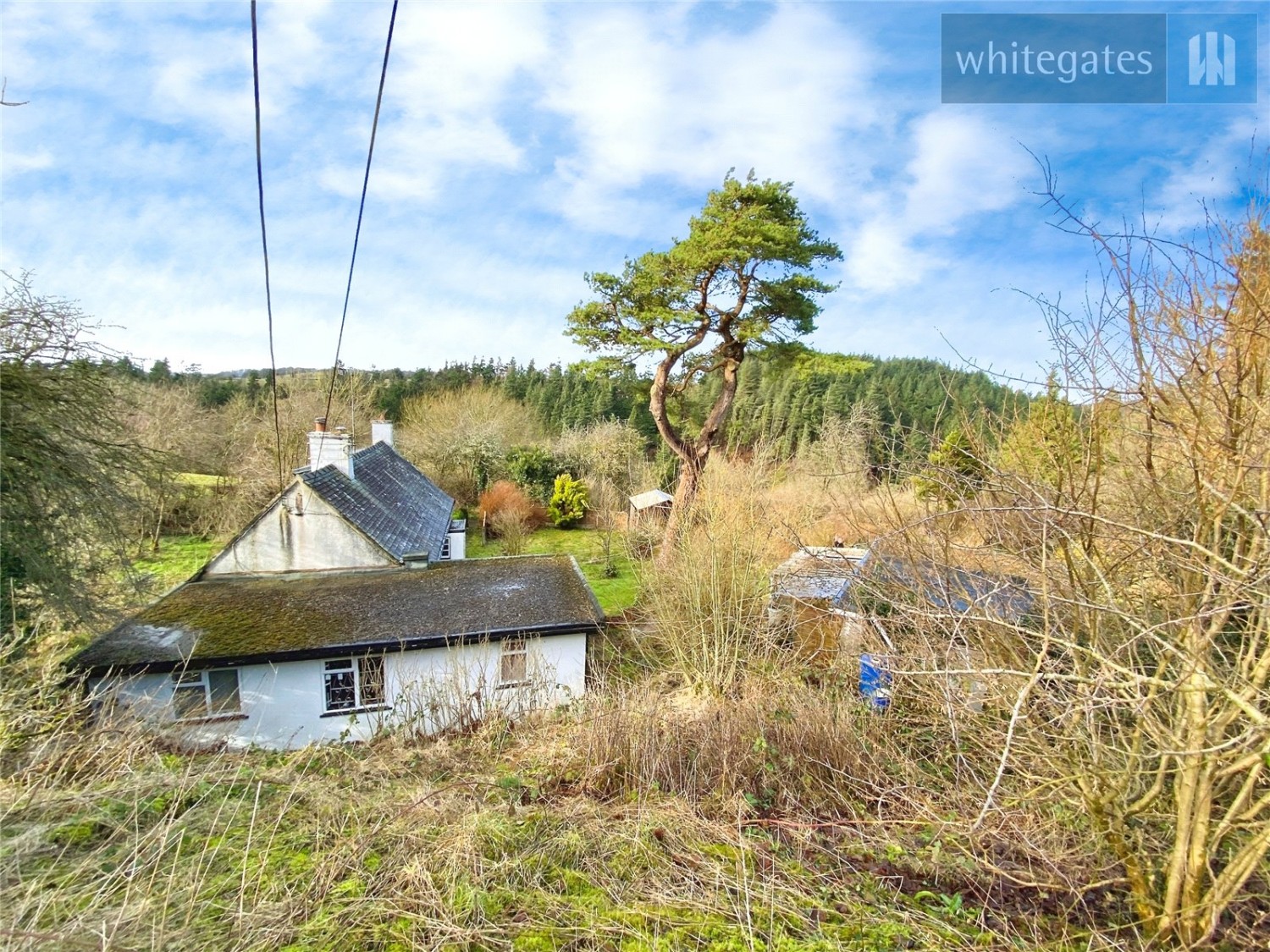 Bwlchgwyn, Wrexham