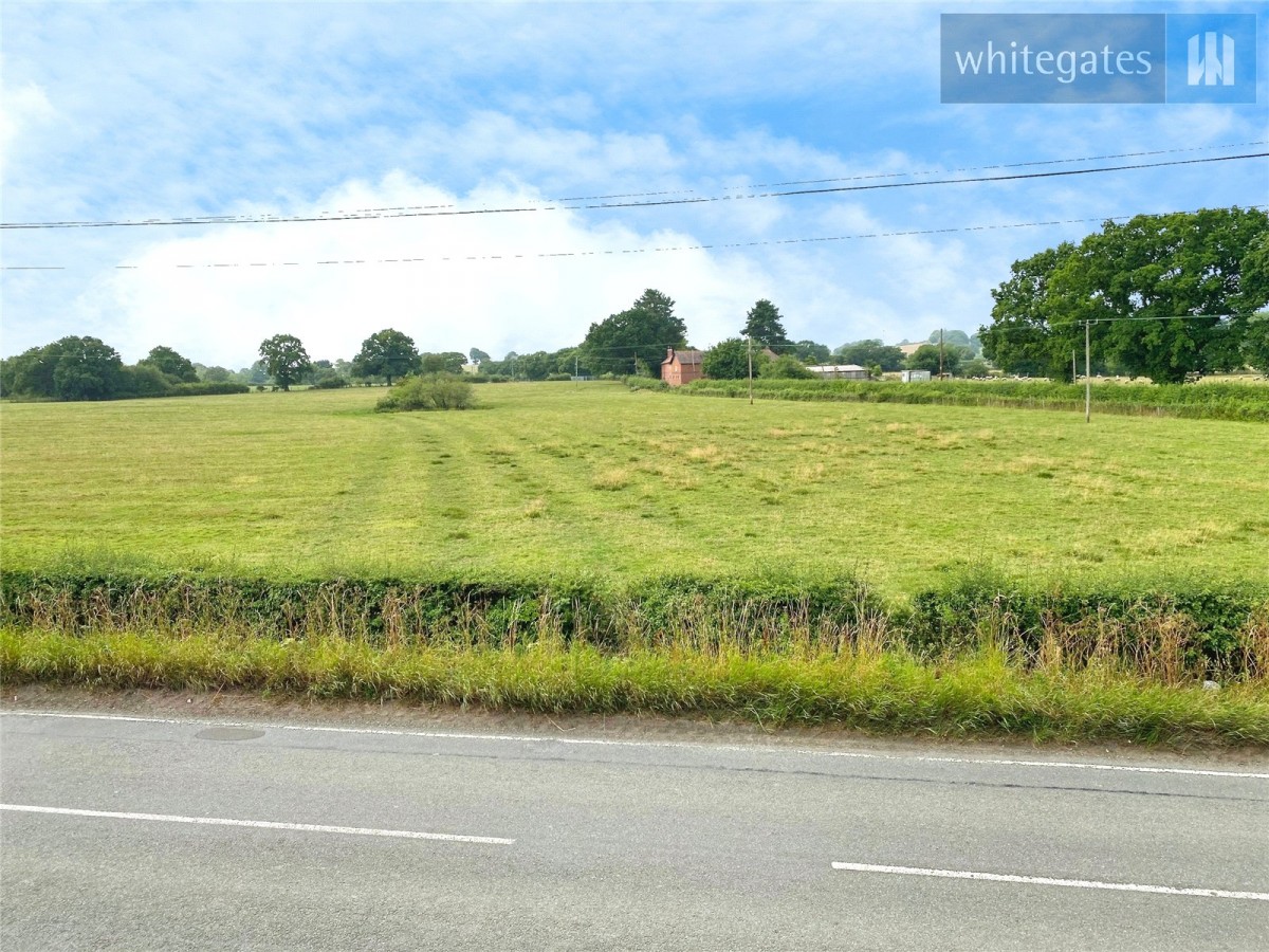 Gyfelia, Wrexham